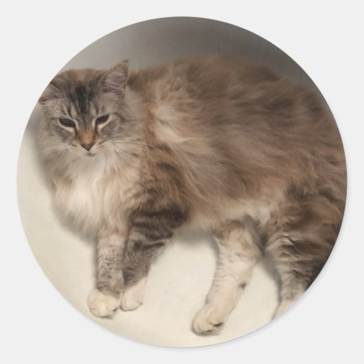 Aufkleber (Vorderseite)