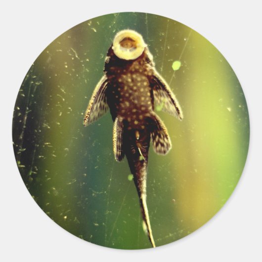 Aufkleber (Vorderseite)