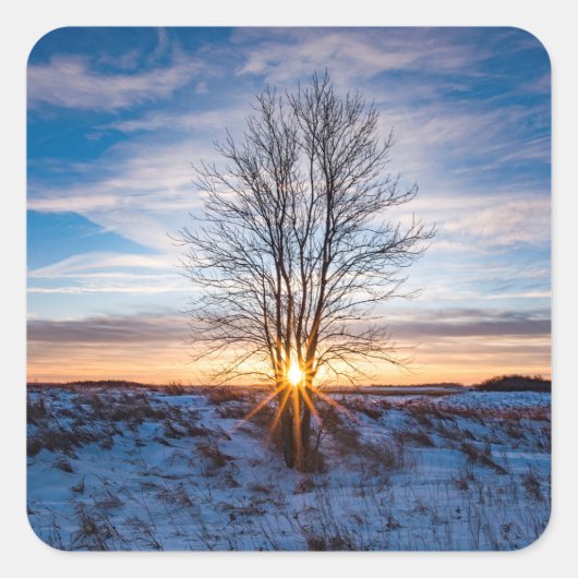 Aufkleber (Vorderseite)