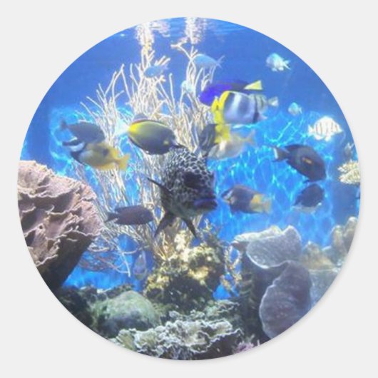 Aufkleber (Vorderseite)