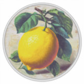 Aufkleber (Vorderseite)