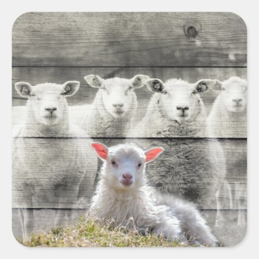 Aufkleber (Vorderseite)