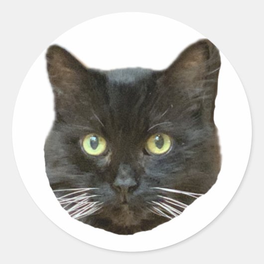 Aufkleber (Vorderseite)