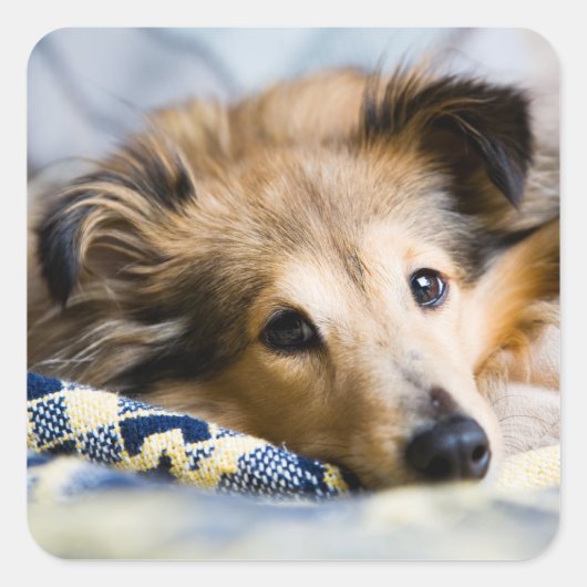 Aufkleber (Vorderseite)