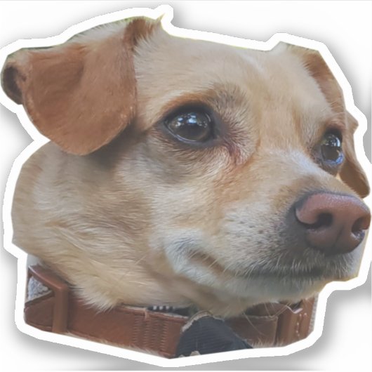 Aufkleber (Vorderseite)