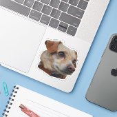 Aufkleber (Laptop mit iPhone)