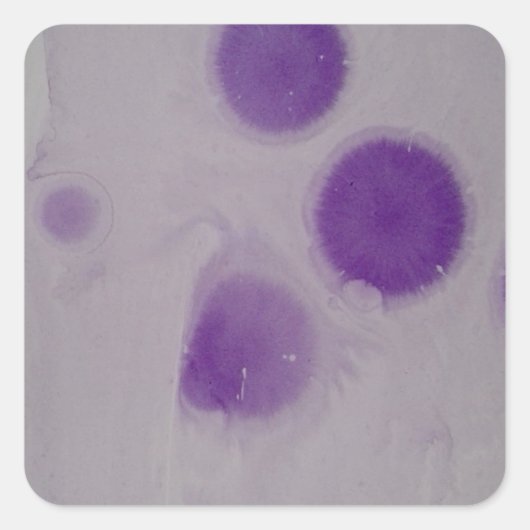 Aufkleber (Vorderseite)
