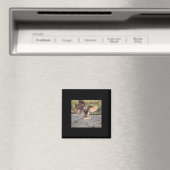 Aufkleber abziehen magnet (In Situ (Geschirrspüler))