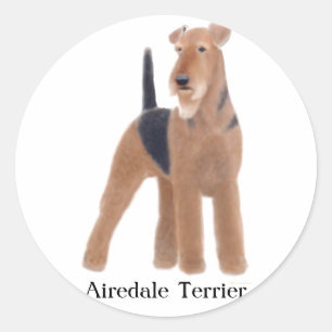 Aufkleber Airedales Terrier