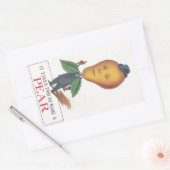 Aufkleber Antique Antrhopomorphe Fruchtpear Man Pu (Umschlag)