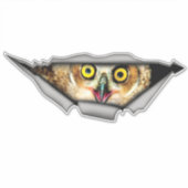 Aufkleber, Aufkleber für Autos, Vinyl-Aufkleber, D (Vorderseite)