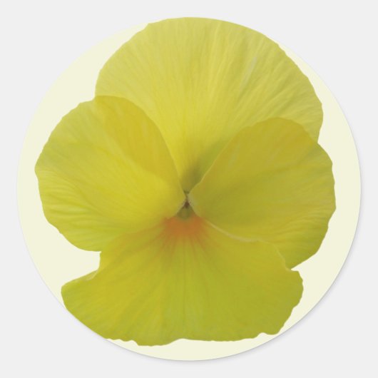 Aufkleber - Bartete Lemon Pansy (Vorderseite)