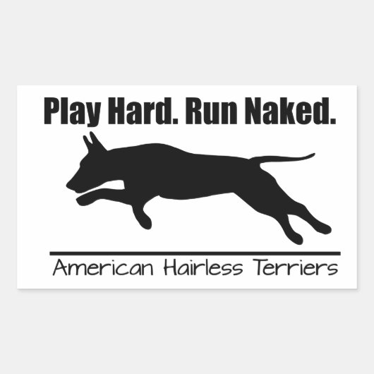 Aufkleber Blatt Play Hard AHT (Vorderseite)