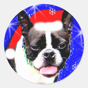Aufkleber Bostons Terrier Sankt