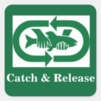 Aufkleber "Catch & Release"
