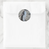 Aufkleber: Chinstrap Penguin Runder Aufkleber (Tasche)