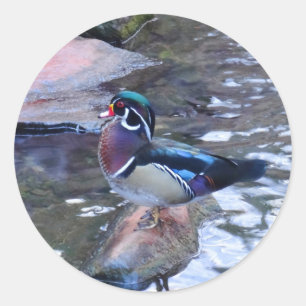 Aufkleber der hölzernen Enten-#3