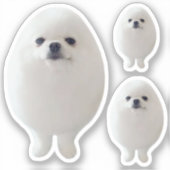 Aufkleber Ei Dog Meme (Vorderseite)