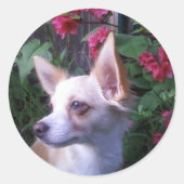 Aufkleber "Eigenes Foto hinzufügen" (Vorderseite)