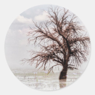 Aufkleber eines SINGLE-BAUES IN EINEM SCHWIMMBAUM