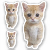 Aufkleber El Gato Cat Meme 3 Pack (Vorderseite)