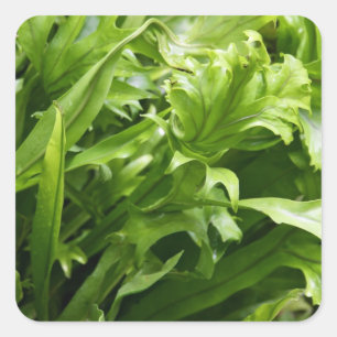 Aufkleber - Fischschwanz-Fern