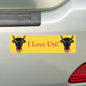 Aufkleber Flagge Uri, Schweiz Autoaufkleber (Auf Auto)