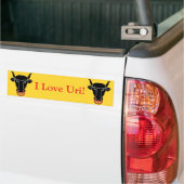 Aufkleber Flagge Uri, Schweiz Autoaufkleber (Auf Lkw)