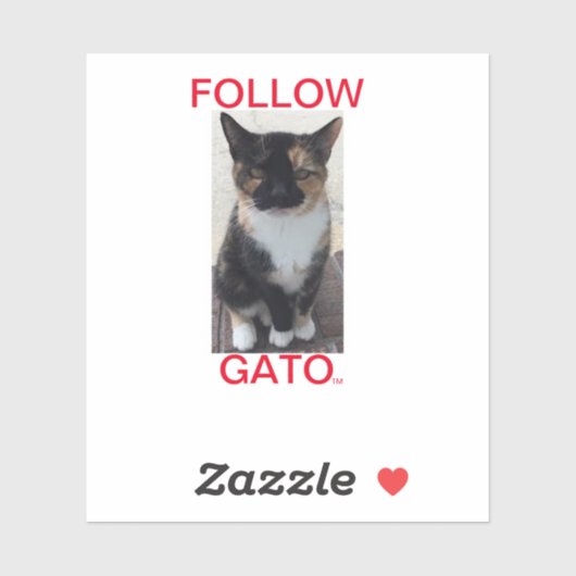 Aufkleber FOLLOW GATO2, Alle Karten (Blatt)