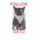 Aufkleber FOLLOW GATO2, Alle Karten (Vorderseite)