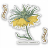 Aufkleber Fritillaria imperialis  (Vorderseite)