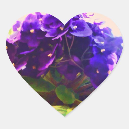 Aufkleber für afrikanische Violetten-Blume (Vorderseite)