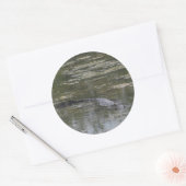 Aufkleber für Alligatoren (Umschlag)