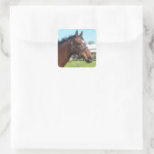 Aufkleber für arabisches Pferd (Tasche)