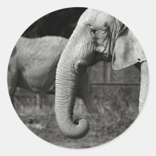 Aufkleber für asiatische Elefanten