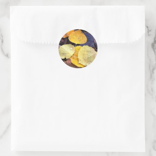 Aufkleber für Aspen-Blätter fallen (Tasche)