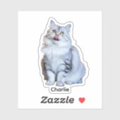 Aufkleber für benutzerdefinierte Fotos | Personali (Blatt)