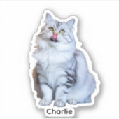 Aufkleber für benutzerdefinierte Fotos | Personali (Vorderseite)