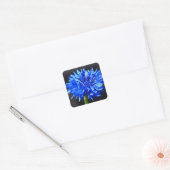 Aufkleber für blaue Kornblumen (Umschlag)