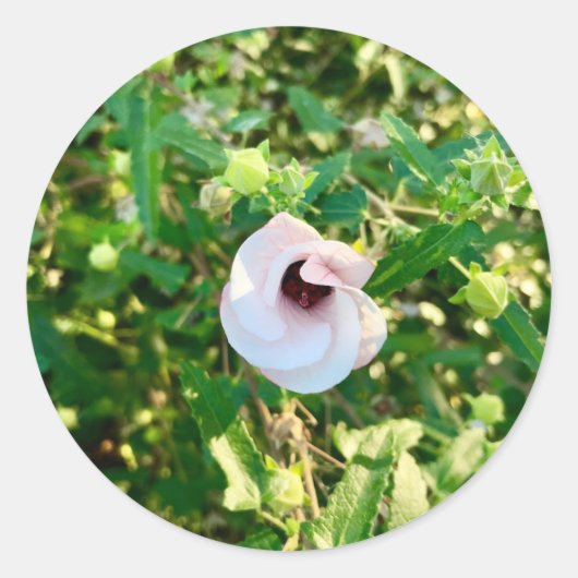 Aufkleber für Blume (Vorderseite)