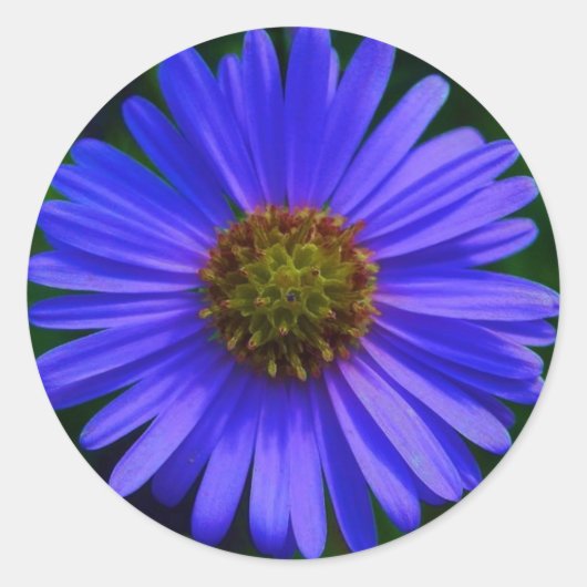 Aufkleber für Blume (Vorderseite)