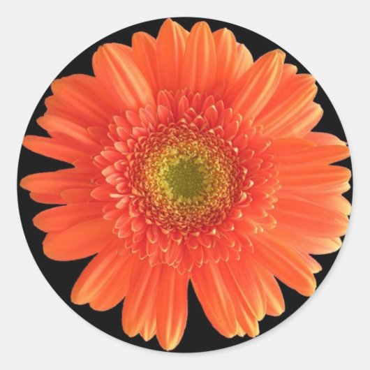 Aufkleber für Blume (Vorderseite)