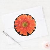 Aufkleber für Blume (Umschlag)