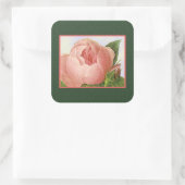 Aufkleber für botanische Rosa-Kohl-Rose (Tasche)