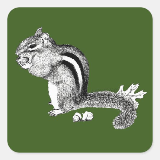 Aufkleber für Chipmunk (Vorderseite)