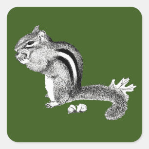 Aufkleber für Chipmunk