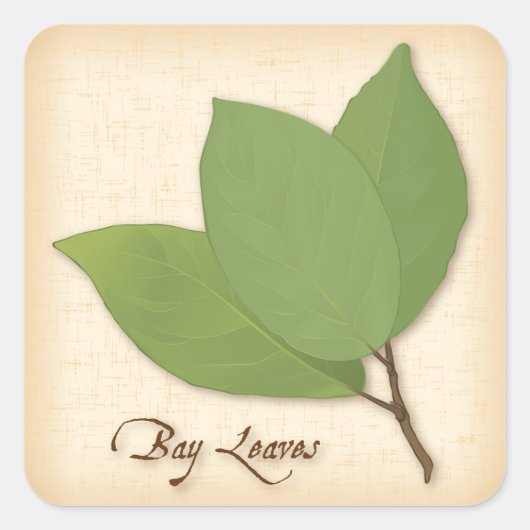 Aufkleber für das Bucht-Blätter (Vorderseite)