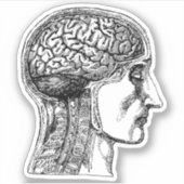 Aufkleber für das menschliche Gehirn (Vorderseite)