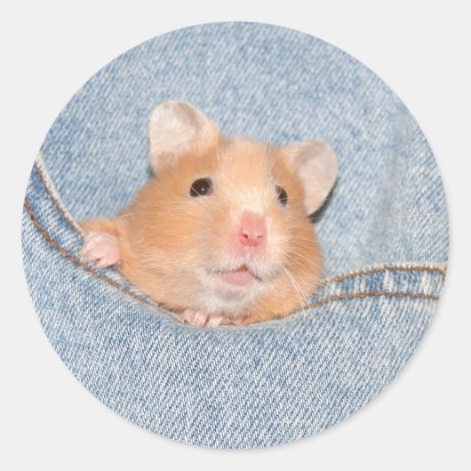 Aufkleber für das Pocket Hamster (Vorderseite)