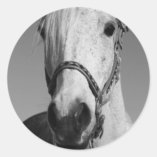 Aufkleber für das Weiße Pferd (Vorderseite)